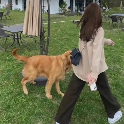 廊桥遗梦国语